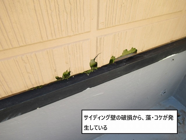 甲州市　外壁現場調査